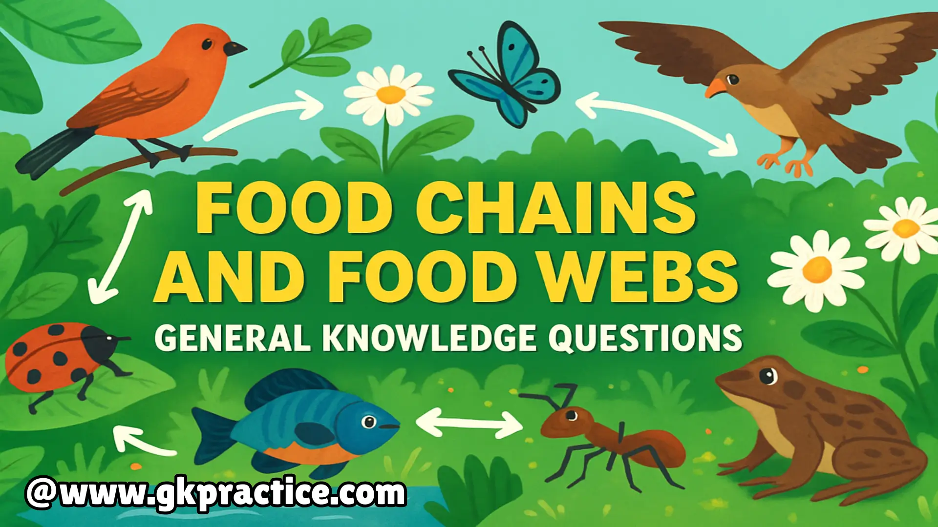 Food Chains And Food Webs General Knowledge Questions